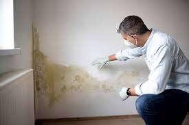 Best Mold Documentation for Insurance Claims  in Cudahy, CA